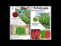 kalash seeds product video