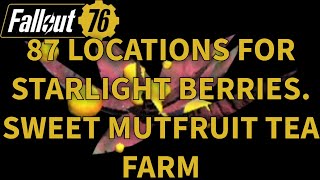 Fallout 76 85 Locations for Starlight Berries for Sweet Mutfruit Tea