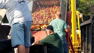 Tractor driven apple cider press, 2016 Penn's cave tractor show