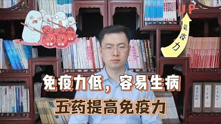 免疫力低，容易生病，牢记5个中成药，帮你提高免疫力！【梁怡璋医生】