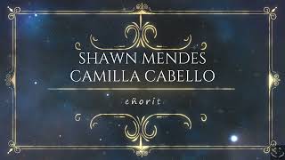 Shawn Mendes, Camila Cabello - Señorita (Lyrics) 1 Hour
