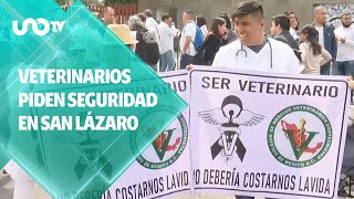 Manifestaciones de veterinarios: hay concentración en la Cámara de Diputados