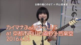 カイマナふぁみりー LIVE at 京都市円山公園野外音楽堂 2016.4.24 ダイジェスト