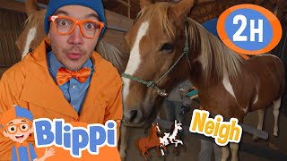 Blippi Meets Horses for the First Time! | Learning Through Play | Blippi