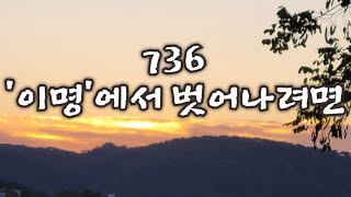 [새벽5시세포명상] 736 극심한 스트레스로 인한 이명에서 벗어나려면... 측두엽과 대동맥 관리로 고요함을 찾아보세요~