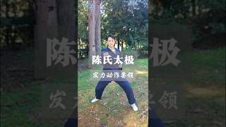 陈氏太极拳教学，发力动作要领。Chen's Tai Chi teaching, essentials of power movements #taichi #中国功夫 #kungfu #武昊