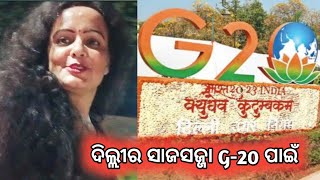 ଦିଲ୍ଲୀ ସାଜସଜ୍ଜା #G20 ପାଇଁ // କେଉଁ ରୋଡ ରେ ହେଇଛି // ଆସ ଦେଖିବା@binimycorner #delhi #campus