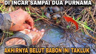 Dua hari Mancing belut di parit sawa, panen belut sawah dan mendapatkan Belut babon sawah,