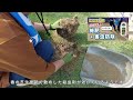 【6月芝活】順調モサモサ！