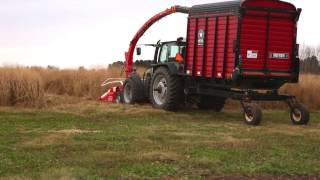 Switchgrass Biomass Harvest