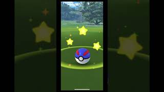 新寶可夢登場：新葉喵#pokemon #pokemongo #寶可夢 #神奇寶貝 #ポケモン #新葉喵 #ニャオハ #sprigatito