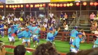 阿波踊り かもめ連 徳島 南町演舞場 2014