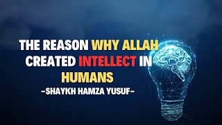 THE REASON WHY ALLAH CREATED INTELLECT IN HUMANS - Shaykh Hamza Yusuf