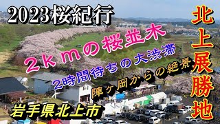 2023岩手県桜紀行　北上展勝地　みちのく三大桜名所　陣ヶ丘からの絶景　2ｋｍの桜並木【岩手県北上市】2023.04.09