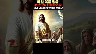 매일 복음말씀 12월 11일 수요일 #예수님