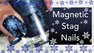 Magnetic Stag Nails || Masura