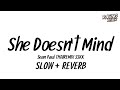 DJ SLOW SHE DOENST MIND THAIREMIX SSKK Ver.BUSTEC | RACING REMIX X2