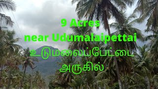 9 Acres near Udumalai for Sale|உடுமலை அருகில் தோப்பு விற்பனைக்கு|7 Acres Coconut| 2 Acres Mango Farm