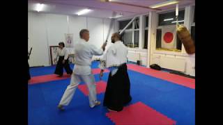 Zenshin Aikido Moments #20190131