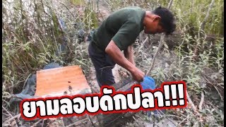 ยามลอบดักปลายามเช้า มาลุ้นกันคับว่าสิเจออิหยัง? By ไทบ้านหากิน