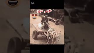 افضل مواقف تموت من الضحك 🤣 اتحداك تشوف الفيديو للاخر 🤣 shorts