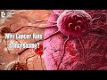 Why cancer is becoming so common nowadays? -Dr. Nanda Rajaneesh