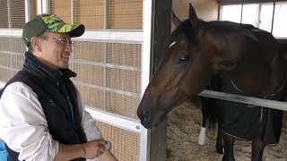 【菊花賞】キセキ・角居勝彦調教師　世界への扉を開く淀の３０００メートル