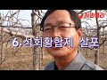 사과재배 3월 핵심영농 시비시기.기계유ㆍ황ㆍ묘목 외