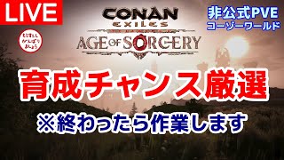 【Patch3.02】育成チャンス厳選とそのた作業等を※非公式PVEより【コナンエグザイル/コナンアウトキャスト/Conan Exiles/AGE of SORCERY】