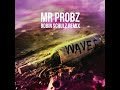 waves robin schulz radio edit