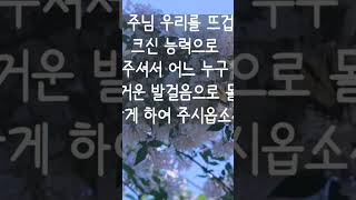 5월 1주