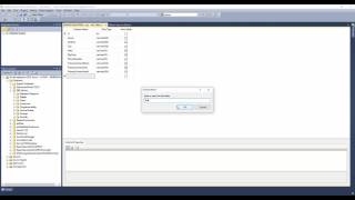 Module 6 - Part 1: Library Branches | Database Management II