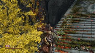 【SEKIRO】金剛山 仙峯寺４