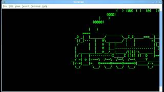 Steam Locomotive - Linux Shell