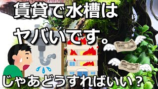 賃貸で水槽置くのは超危険！！対策方法を考える#21【アクアリウム】