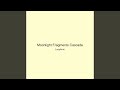 Moonlight Fragments Cascade