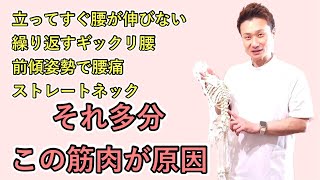 立つ時 腰が伸びない人のための腰痛ケア【壁押し多裂筋分離エクササイズ】市川整体院🌱bodytalk