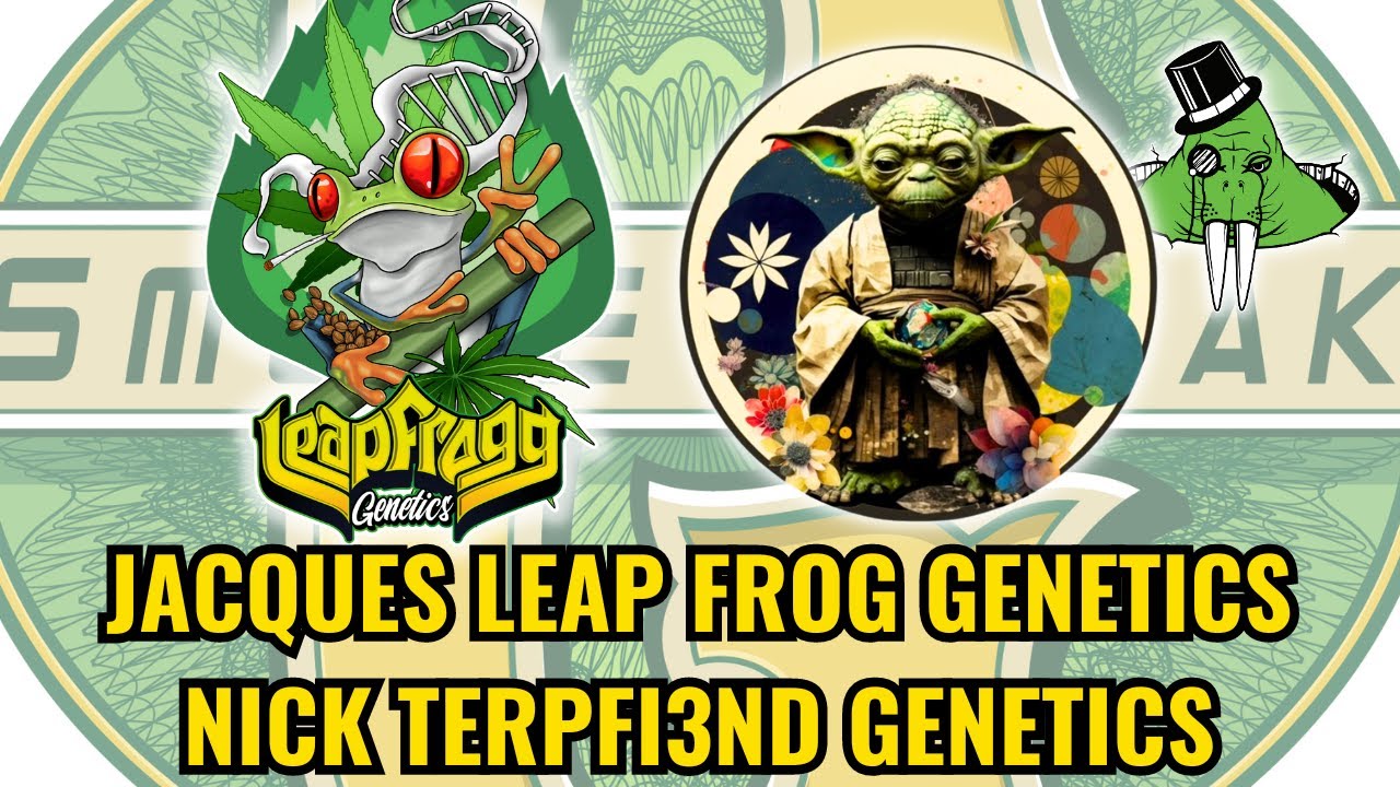 Leap Frogg Terpfi3nd Genetics Nag Champa Extraveganza June 20 2024