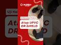 BUKTI NYATA SEKUAT ITU! Dengan atap UPVC DR.SHIELD, solusi untuk masalah atap anda! #atapupvc