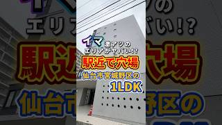 激アツエリアの1LDK！！ #宮城不動産 #不動産 #山一地所#内見動画#ルームツアー#shorts