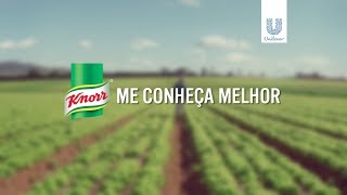 Knorr - Me Conheça Melhor