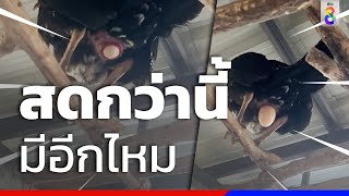 ไข่ไก่ลอยฟ้า ออกสดๆหน้ากล้อง | ข่าวช่อง8