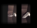 bat wings inspire researcher research in action video