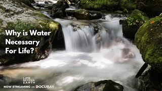 Why is Water Necessary For Life? | To Know More Watch Life Beyond Earth On #DocuBay