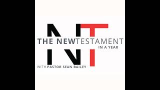 1 Peter 4. Day 204 - The New Testament in a Year