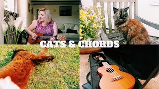 CATS \u0026 CHORDS VLOG