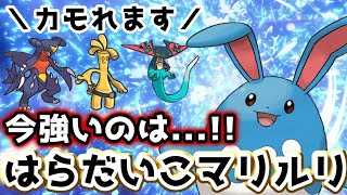 育成簡単！水テラスはらだいこマリルリが今強い【ポケモンSV】