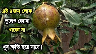 এই চারজন লোকের ভুল করেও ডালিম বা বেদানা খাওয়া উচিত নয়, খেলে খুব ক্ষতি হয়ে যাবে..