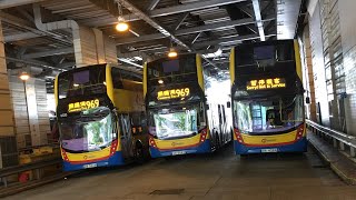 [貼上東區廠的新創建量產黃𨋢巨無霸往天水圍] Hong Kong Bus 城巴 CTB 969 銅鑼灣摩頓台 - 天水圍市中心 @ E 6395 UM8943 全程 無剪輯