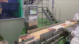 [웨이텍] 방수형 중량선별기  waterproof check weigher